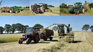 Fortschritt E 281-E in der Grünfutterernte