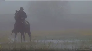 The rhythm of the horse and the mist
