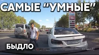 Подборка САМЫХ "УМНЫХ" водителей #301