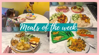 EASY FAMILY DINNERS | MEALS OF THE WEEK FOR FAMILY OF 4 UK