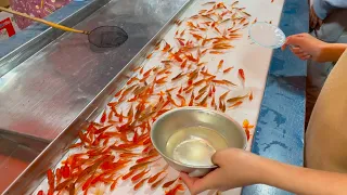 金魚すくいで ポニョ とれた