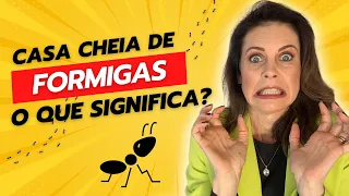 Significado Espiritual da FORMIGA na sua Casa - é surpreendente!