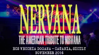 'The American Nirvana Tribute - Nervana"