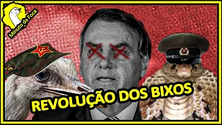 NAJA PICA, EMA BICA, É A REVOLUÇÃO DOS BICHOS - PM DE DORIA MATA MAIS - BOLSONARO É BICADO MF #152