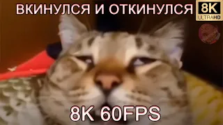 ВКИНУЛСЯ И ОТКИНУЛСЯ 8K 60FPS😵😵😵