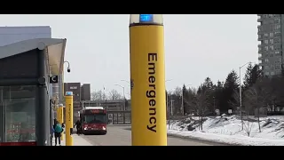 OC Transpo scenes @ Hurdman Transitway station busway and VIA 53 passing by. Filmed today!