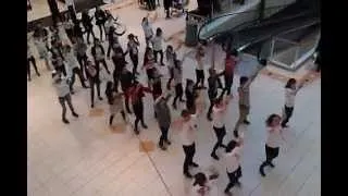 Flashmob à La Roche-sur-Yon contre les violences faites aux femmes