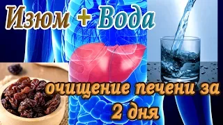 Очищение печени➤Изюм и вода, очищение печени за 2 дня➤Печень➤Как пить правильно отвар из изюма