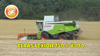 Harvest 2020 | Claas Lexion 750 combine harvesting barley