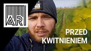 Jak chronić rzepak przed kwitnieniem? || AR #88