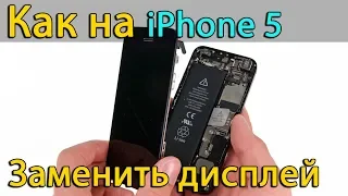 Замена дисплея iphone 5