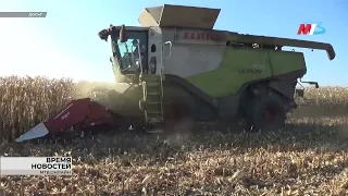 Аграрии прогнозируют урожай зерновых в Волгоградской области на уровне 7 млн тонн