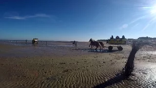 Северная Германия  пешком по берегу моря 2017