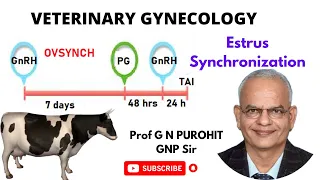 Unlocking the Secrets of Animal Breeding: The Technology Behind Estrus Synchronization