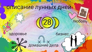 28 лунный день