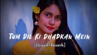 Tum Dil Ki Dhadkan Ho | Slowed & Reverb | Lo-fi Song #slowreverb #lofi #dhadkan #kumarsanu