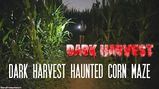 Dark Harvest Haunted Corn Maze at Frosty's Pumpkin Patch - Chino, CA