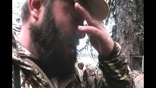 GROWN MAN CRIES IN BEAR STAND