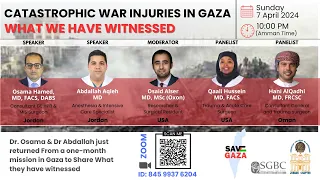 What We have Witnessed in Gaza?