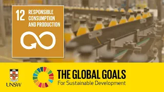 Sustainable Development Goal 12 - Responsible Consumption and Production - Sami Kara