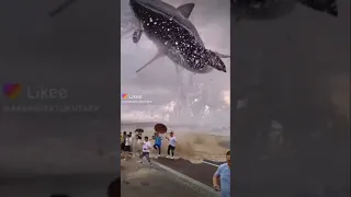 Акула чуть не съела людей😱😱