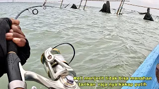 Ganas Rell Tidak Bisa Dikendalikan Ditarik Raja Nya Kakap Putih.!! Mancing Kakap Putih