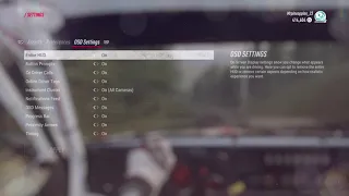 DiRT Rally 2.0_ controller settings