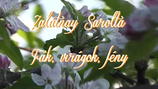 Zalatnay Sarolta-Fák, virágok, fény