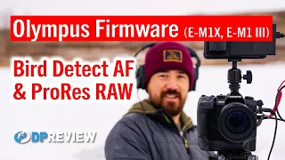 Olympus Firmware Updates: Bird Tracking and ProRes Raw