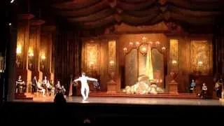 SLEEPING BEAUTY ACT 3 PRINCE BALLET SOLO | MALE BALLET VARIATION