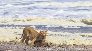 E55 MARINE FOOD RESOURCES - Desert Lion Conservation Trust