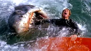 Brutto scherzo, squalo VERO | Lo squalo | Clip in Italiano