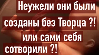 9) Эволюция или сотворение ?