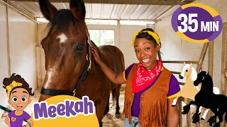 Horse Care Day with Cowgirl Meekah! | Educational Videos for Kids | Blippi and Meekah Kids TV