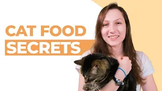 7 Things No One Told You About Cat Food