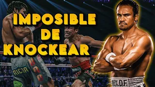 Un boxeador Mexicano IMPOSIBLE de Knockear | Juan Manuel Márquez | 3 retornos INCREÍBLES