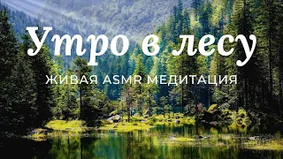 УТРЕННЯЯ МЕДИТАЦИЯ для ПРЕКРАСНОГО НАСТРОЕНИЯ ~ ASMR звуки природы ~ УТРО В ЛЕСУ