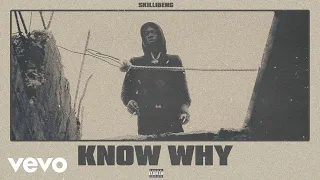 Skillibeng - Know Why (Visualizer)