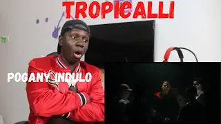 Pogány Induló - Tropicalli Official  Video Reaction!!