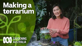 How to make a terrarium | Indoor plants | Gardening Australia