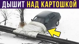 Приколы. Машина дышит над картошкой | Мемозг #131