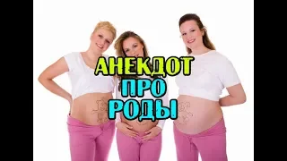 АНЕКДОТ ПРО РОДЫ, СВЕЖИЙ АНЕКДОТ. Anecdote