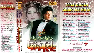 Tera Gham Ager Na Hota Album 3 | Eagle Ultra Classic Jhankar | Tragedy Hits | PMC Studio