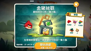 20231011 angry birds 2 AB2 Golden Pig Challenge 金豬挑戰