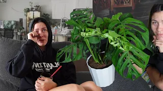 A Difficult Goodbye & Lots of Plant Chores | Houseplant Care Day