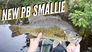 TANK River Smallies Hammering These 2 Baits???