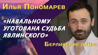 Илья Пономарев: о Навальном и Зеленском, бизнесе при Путине и жизни в Украине
