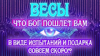 ВЕСЫ 🎁♎ ЧТО БОГ ПОШЛЕТ ВАМ В ВИДЕ ИСПЫТАНИЙ И ПОДАРКА СОВСЕМ СКОРО гадание онлайн