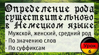 Урок 6 Как определить род существительного в Немецком языке. Разбираем на примерах. Немецкий с нуля!