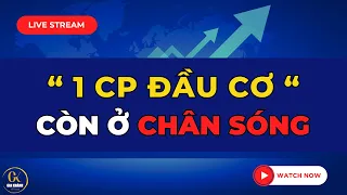 🔴 LIVE STREAM (SỐ ĐẶC BIỆT): 1 CỔ PHIẾU ĐẦU CƠ SÓT LẠI CÒN Ở CHÂN SÓNG MÀ KHÔNG AI ĐỂ Ý !!